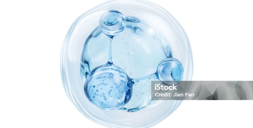 istockphoto-2023980422-1024x1024.jpg